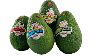 Avocado Hass