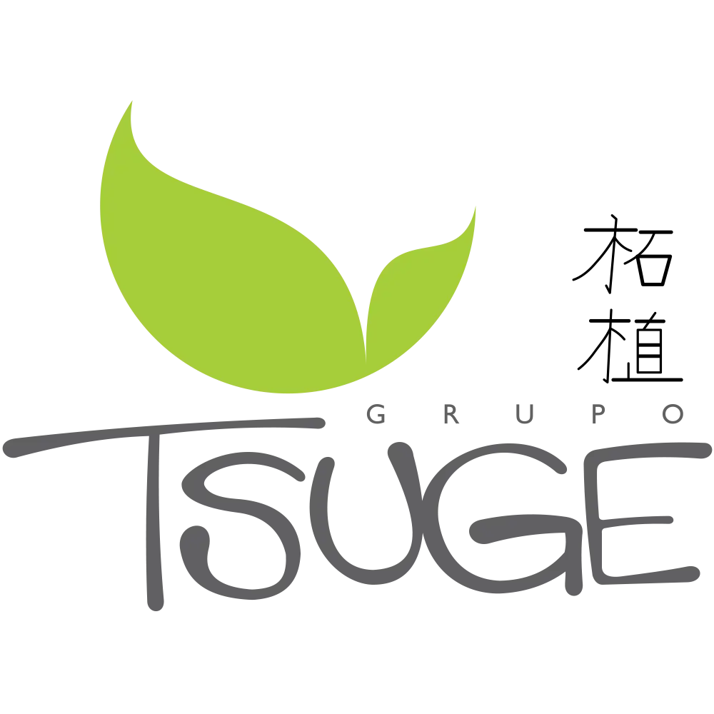 Grupo Tsuge